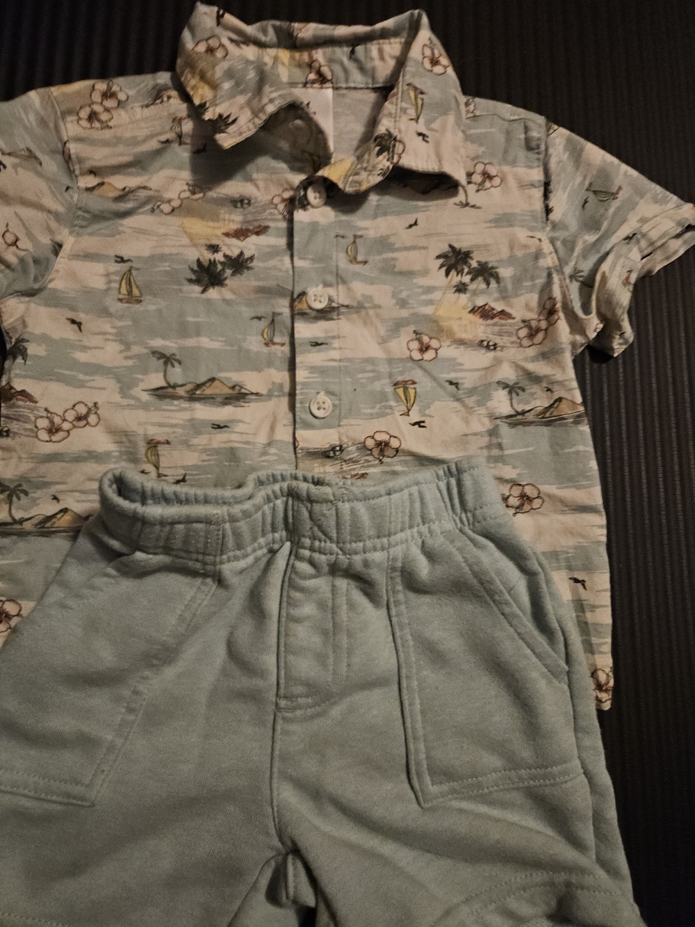 Kids Light Blue Tropical Button-Up Shirt and Shorts Set